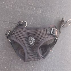 Puppy Harness