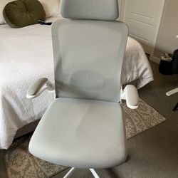 Desk Chair With Lumbar Support And Headrest