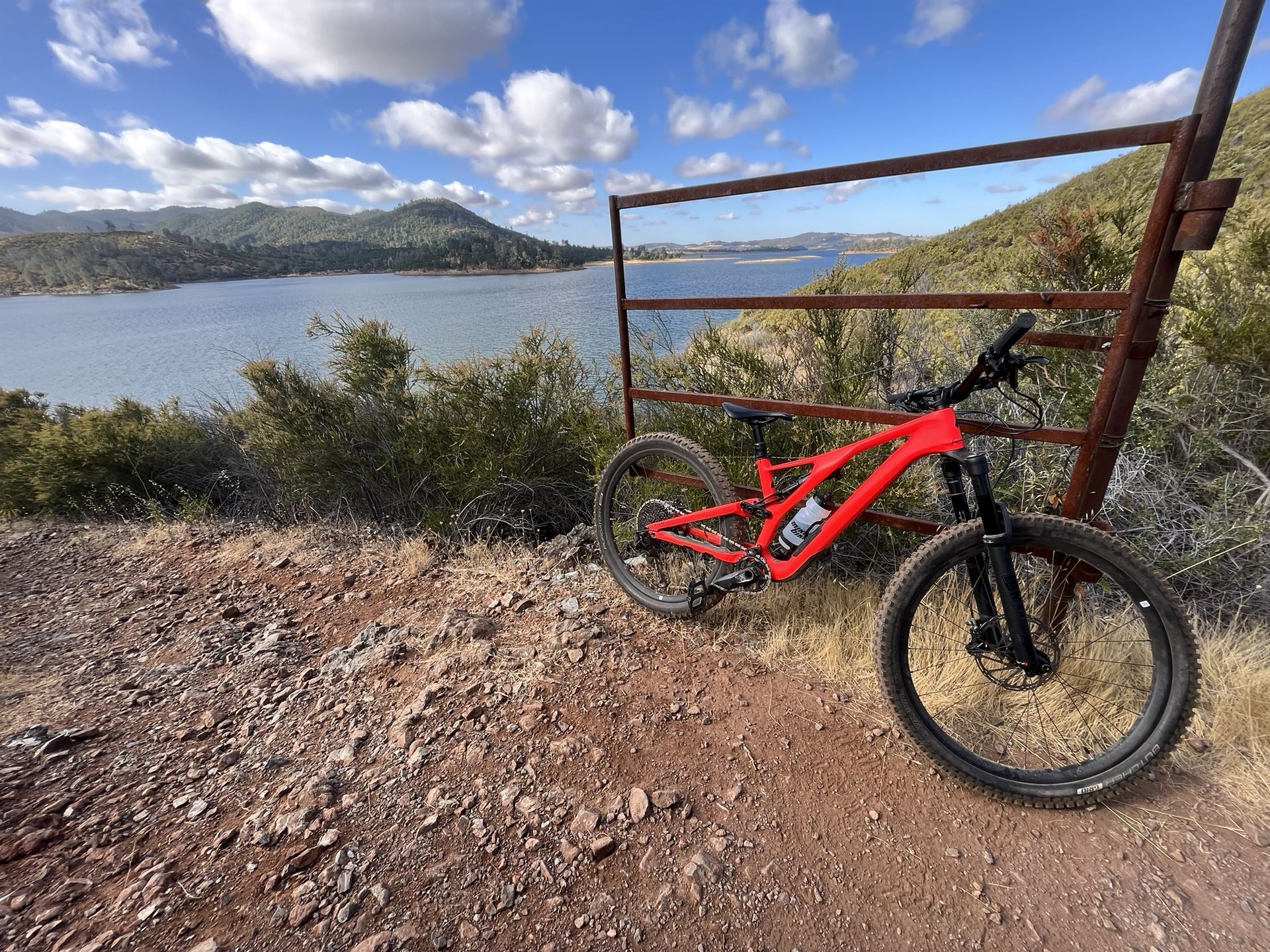 Stumpjumper Comp Carbon