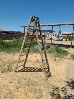 ANSI Type IAA 375-lb step to extention ladder