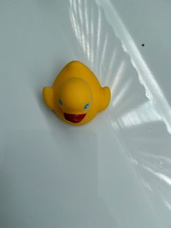 Duck toy