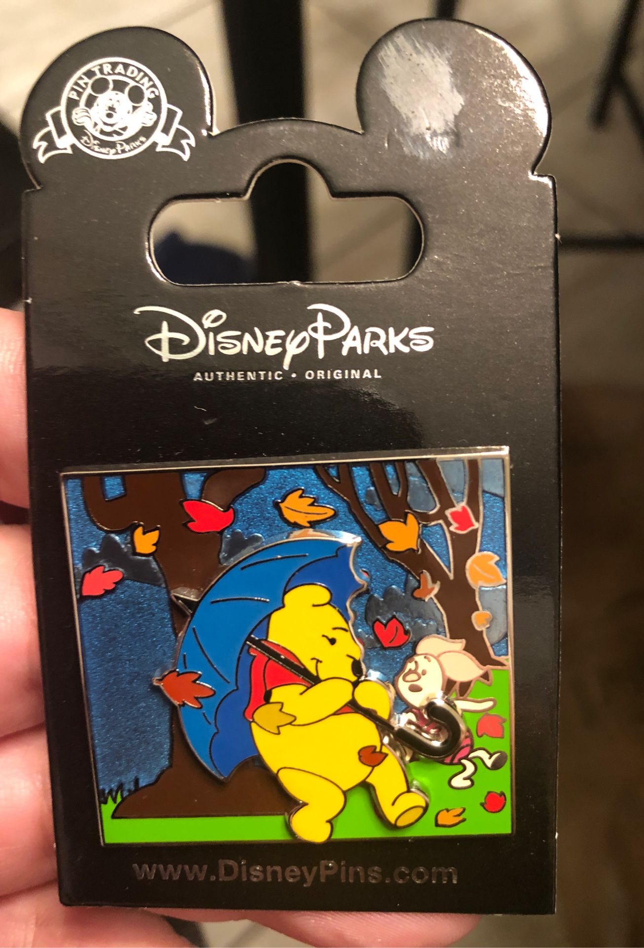 Disney Park’s Winnie the Pooh Autumn Slider Pin with Piglet