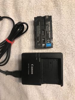 Camera battery charger