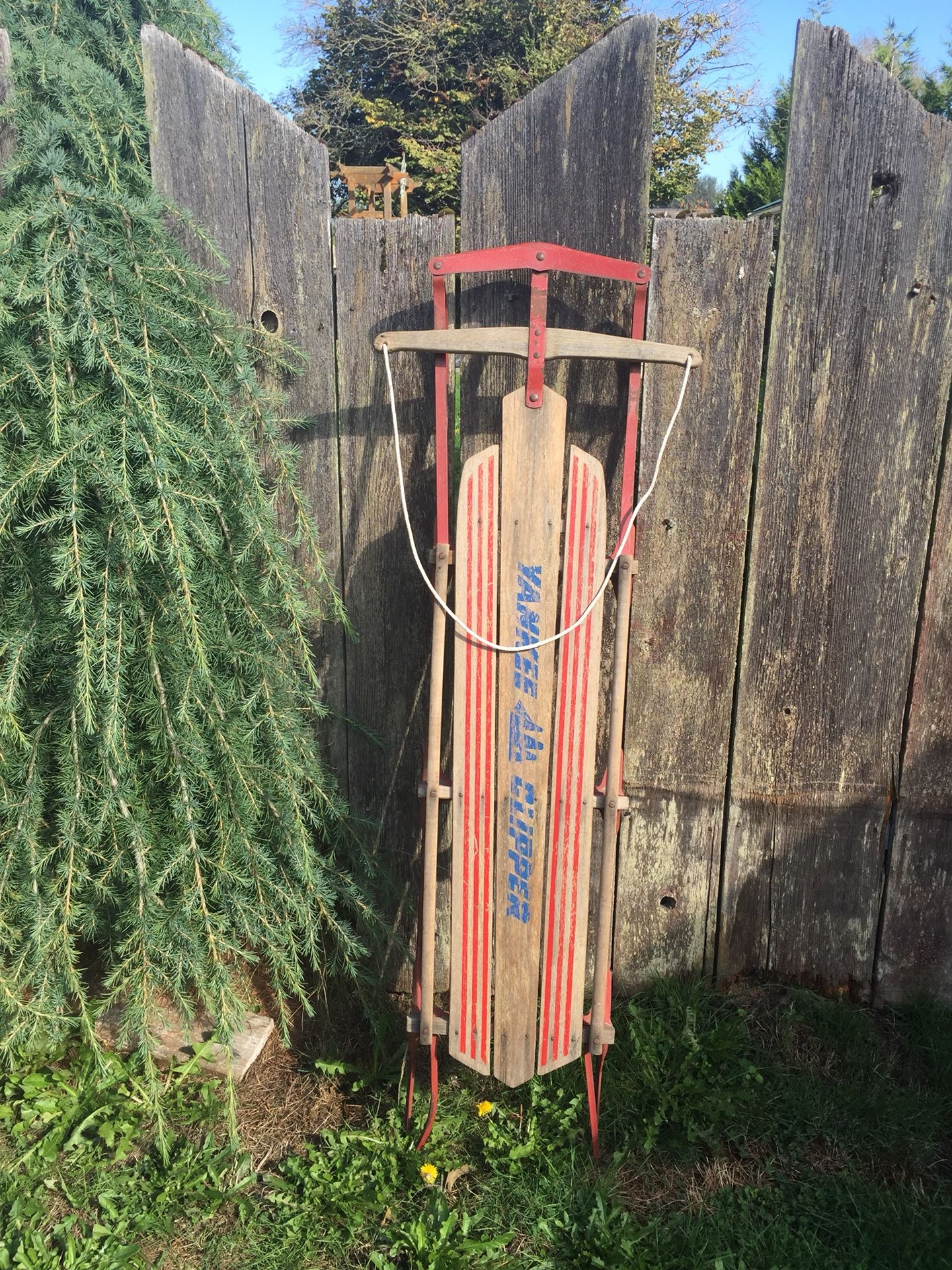 Yankee Clipper Toboggan/Sled