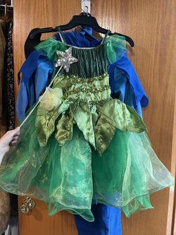 Fairy Costume