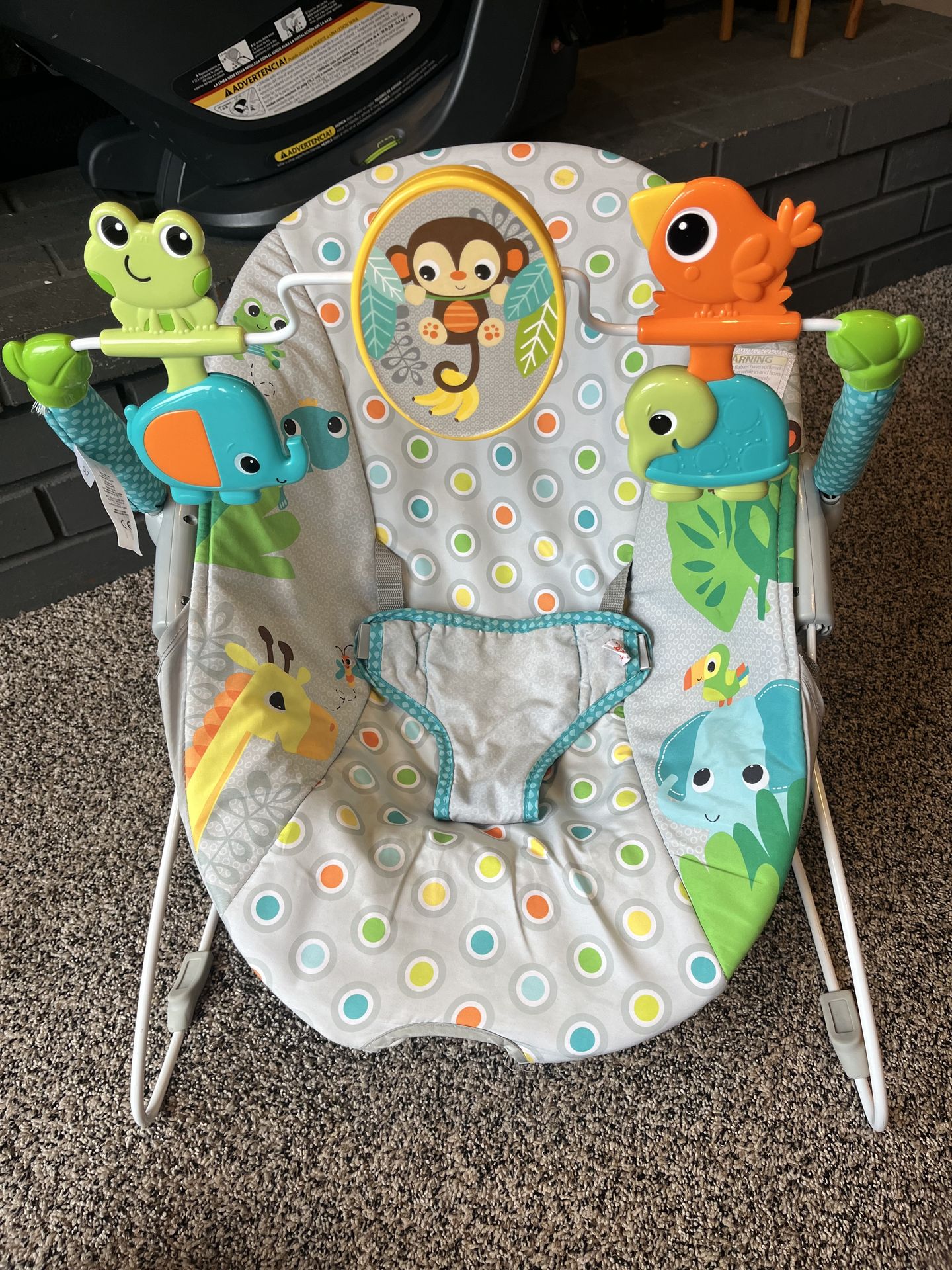 Bright Starts Baby Bouncer