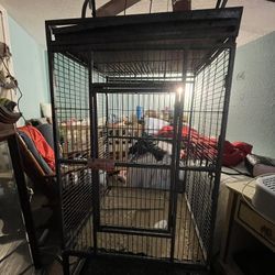 Bird Cage