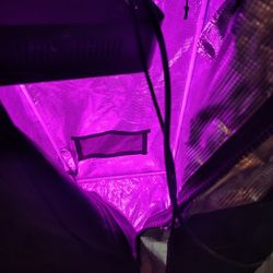 Weed Growing Tent And Hydro Setup