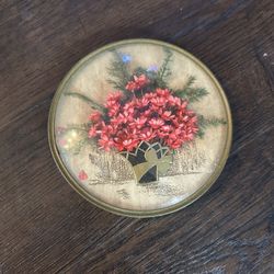 Small Circle Dried Flowers Under Domed Glass Wall Hangings