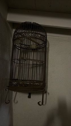 Bird cage free