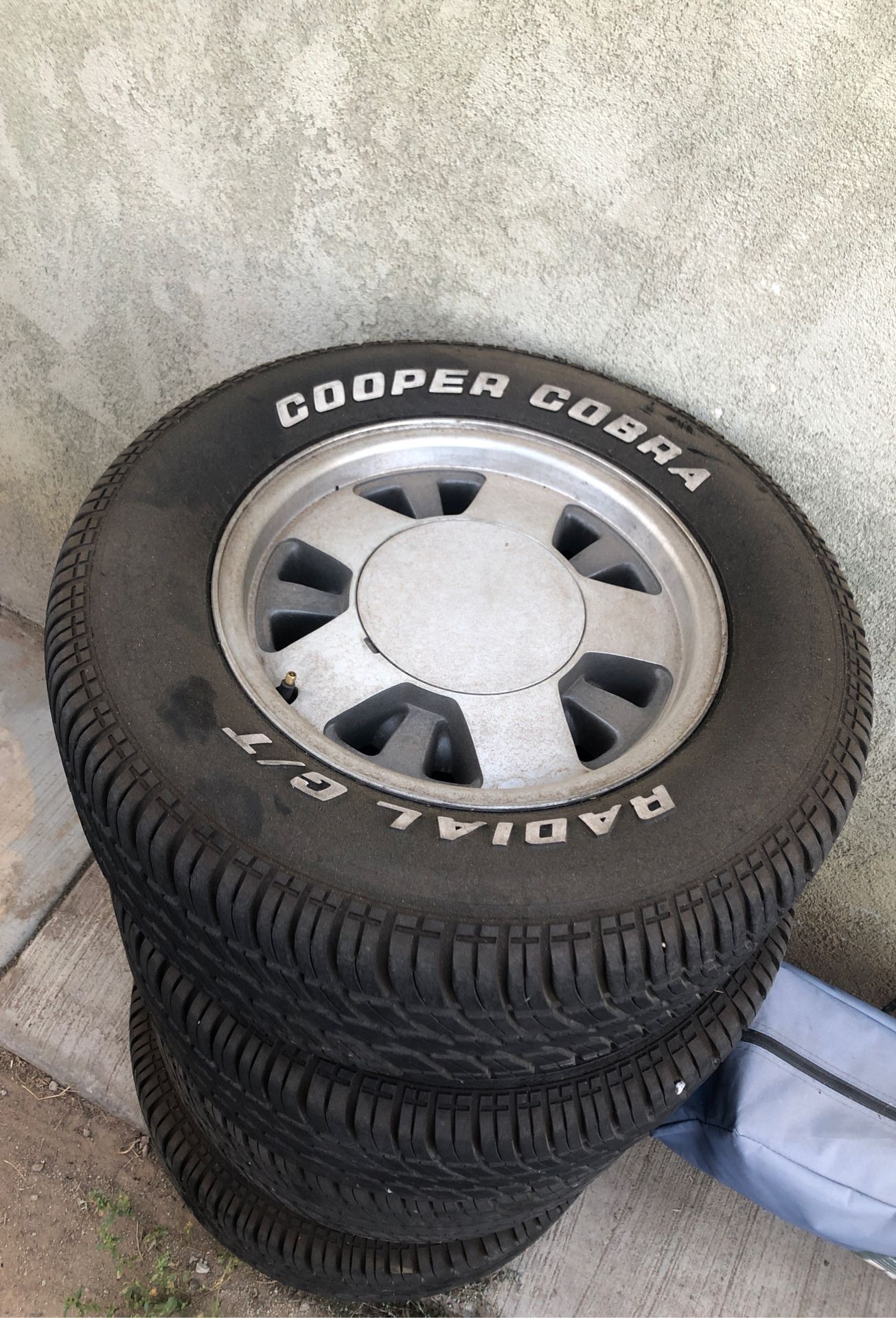 OBS 15’s COOPER COBRA’s