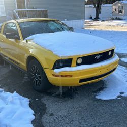 2005 Ford Mustang