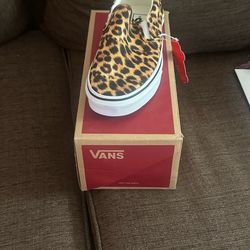 Vans shoe