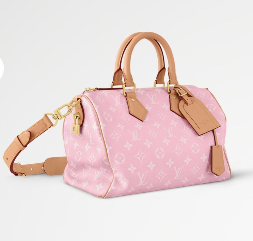 Louis Vuitton Speedy Bag 30