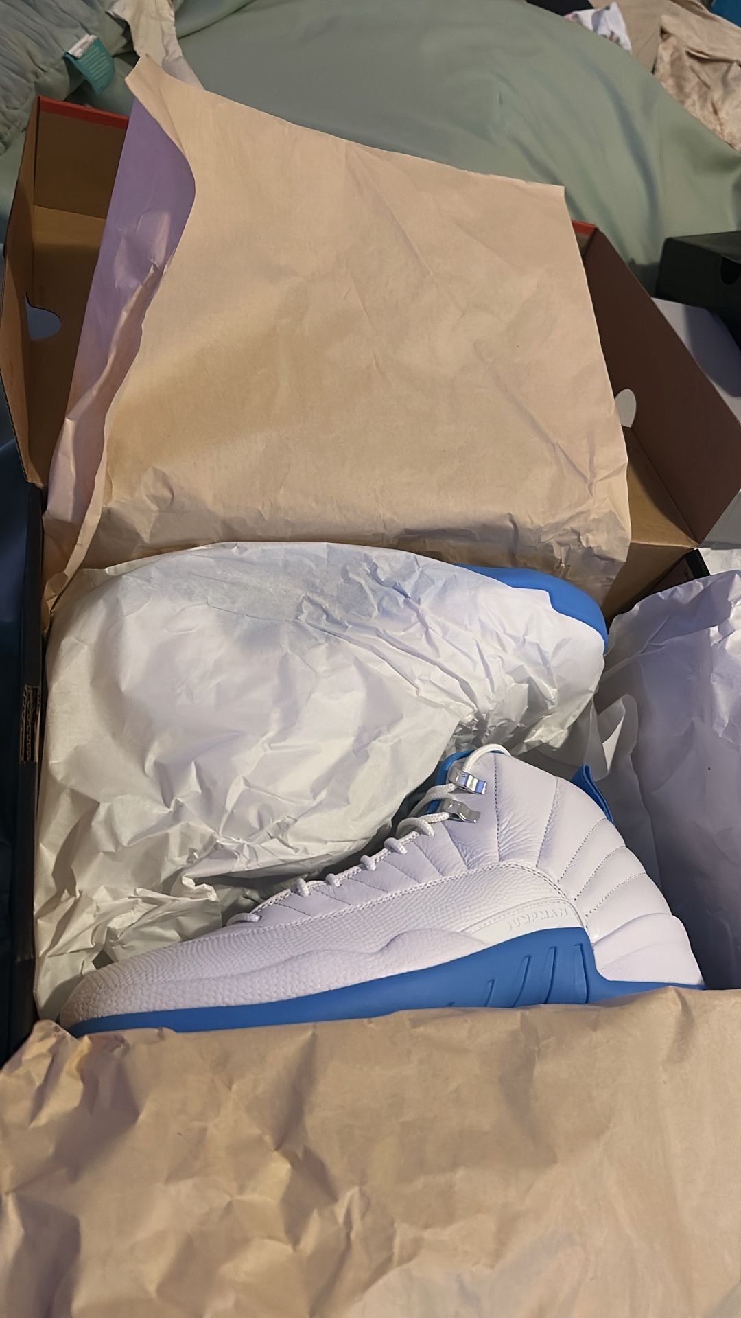 JORDAN 12s MELO SIZE 10.5 NEW NEVER WORN