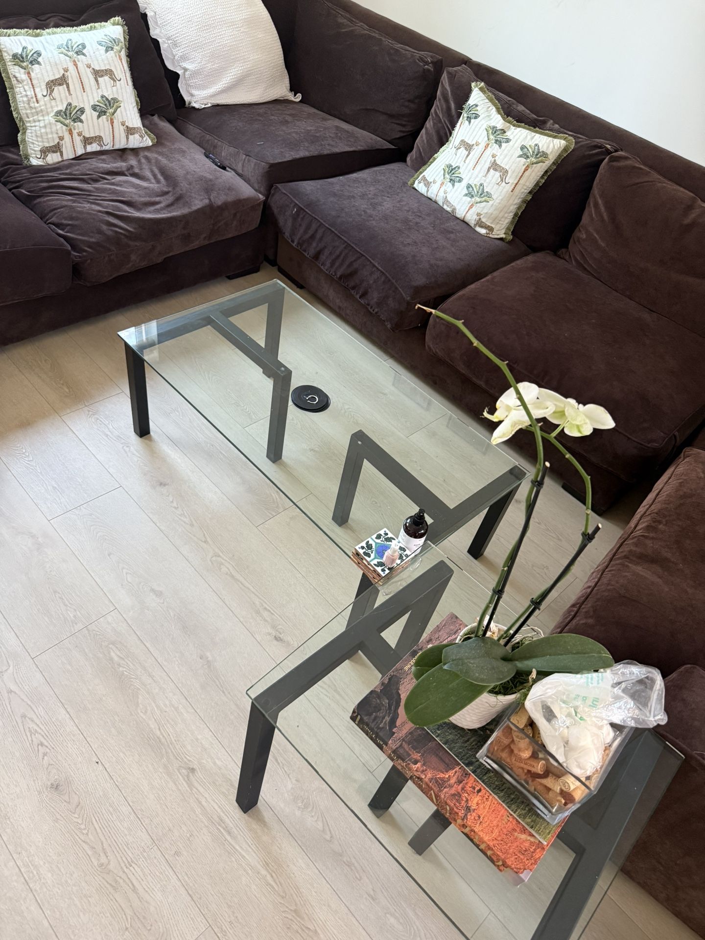 Glass Coffee Table And Side Table
