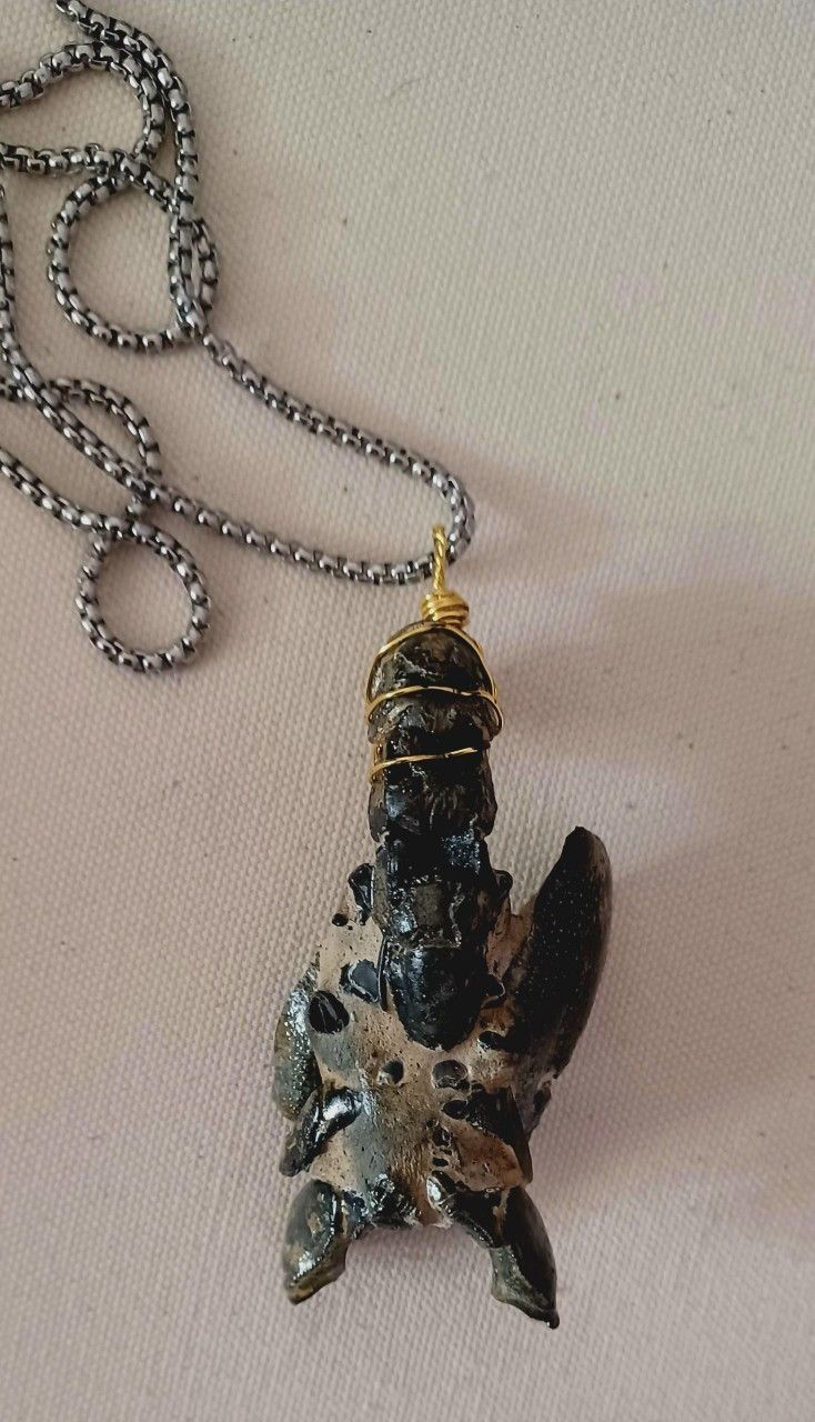FOSSIL NEW JEWELRY ONE OF A KIND LOBSTER NECKLACE!
