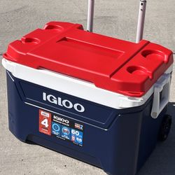 Igloo Cooler 