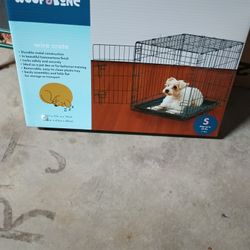 Pet  Create