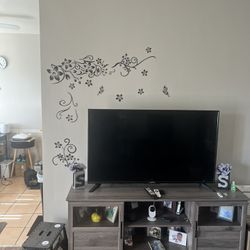 47- 48 Inch Sceptre Flat Screen Tv