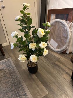 Hananona-Artificial Camellia Tree with White Flowers and pot
