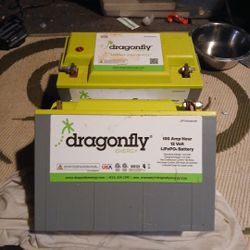 2 1/2 years young Dragonfly 100 amp hr/ 12volt/ life PO4