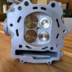 New +1, Port and polished Raptor 700 head