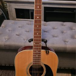 Mitchell D120 Acoustic Guitar  for Sale..