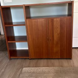 Entertainment Center/ Bookcase
