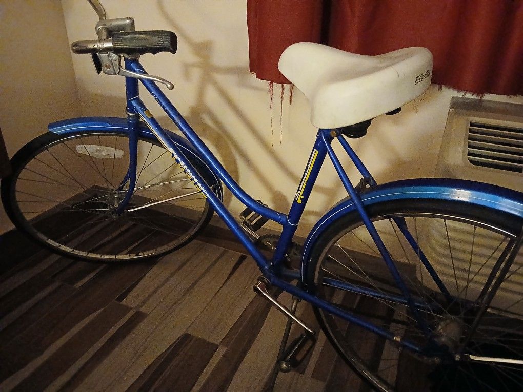 1964 Schwin Bicycle  Classic