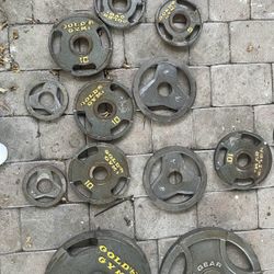 175 pounds of plates. Golds Gym & Fitness Gear