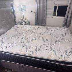 Queen Mattress And Box Spring Only 