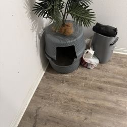 Hidden Litter Box Plant