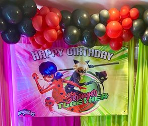 Ladybug Birthday Backdrop
