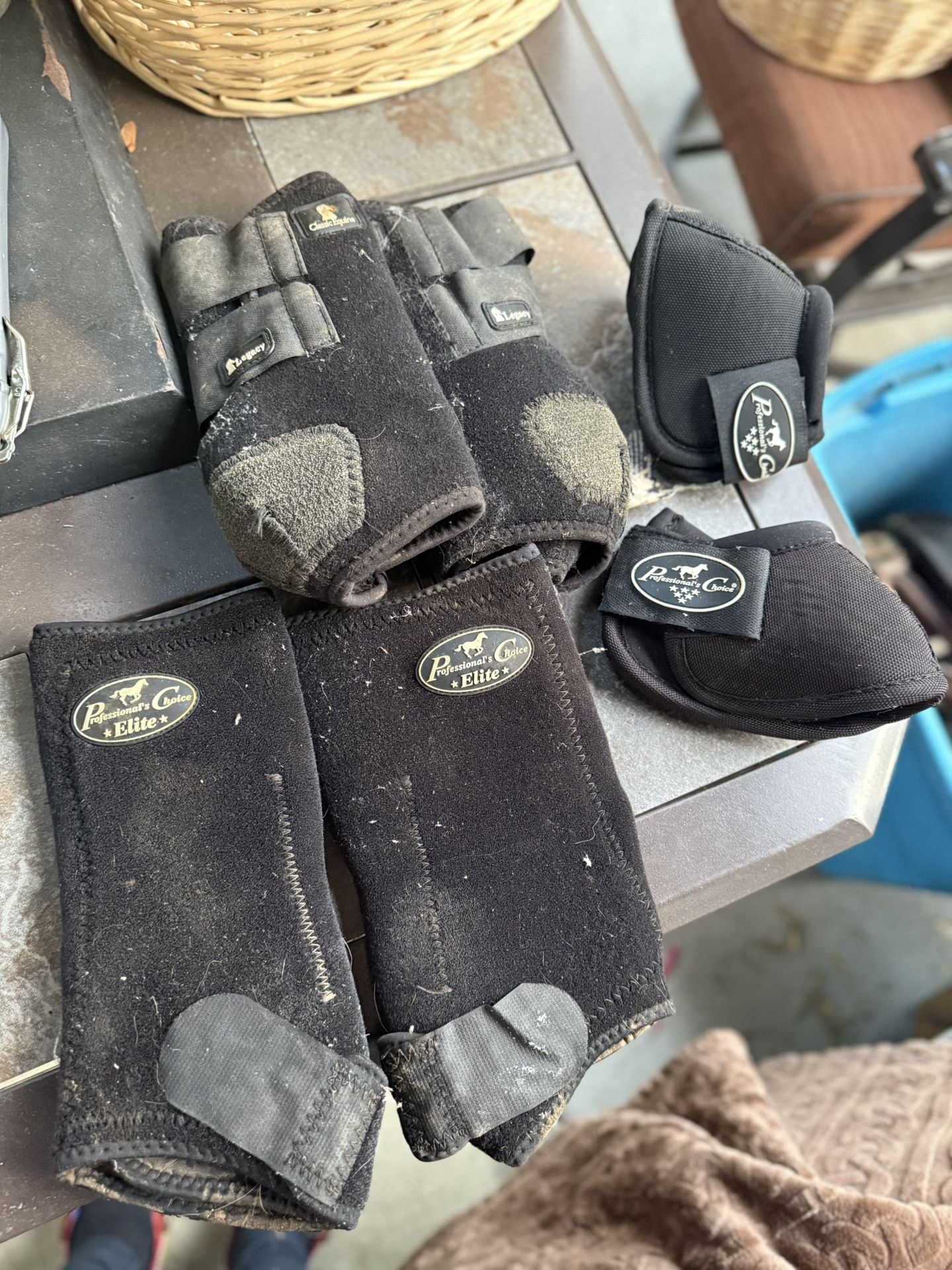 Horse Tack Bundle
