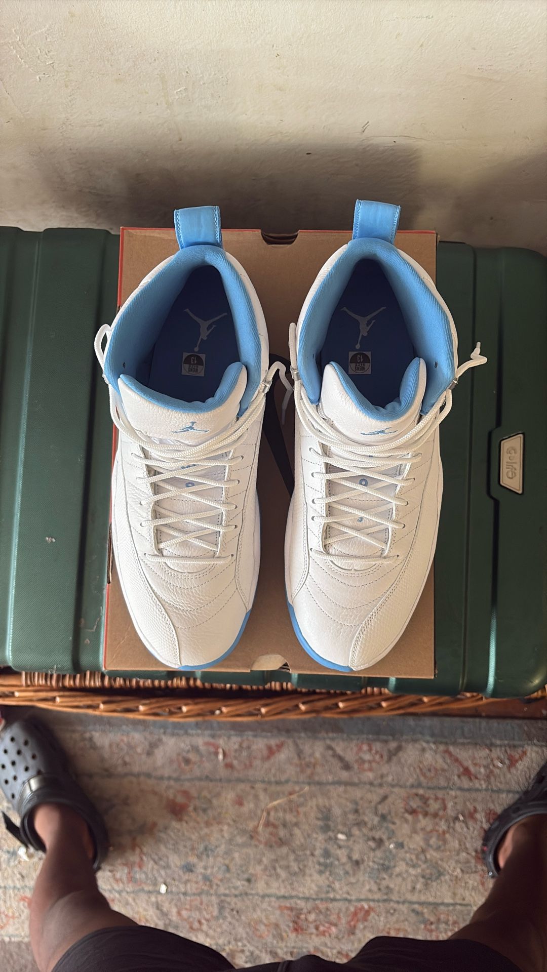 Jordan 12 (Melo) Size 13