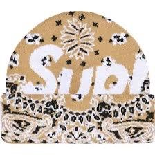 Supreme Bandana Beanie