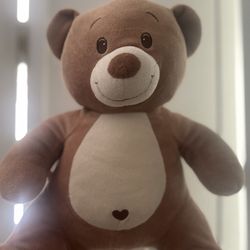 Hypoallergenic Teddy bearTeddy bear from Build a Bear workshop