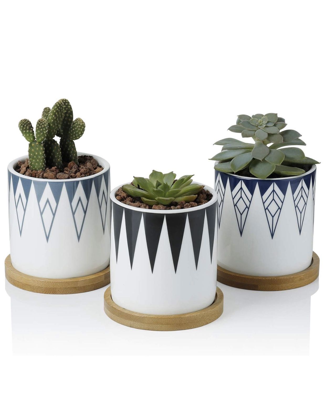 Succulent Plant Pots 3" with Bamboo Trays