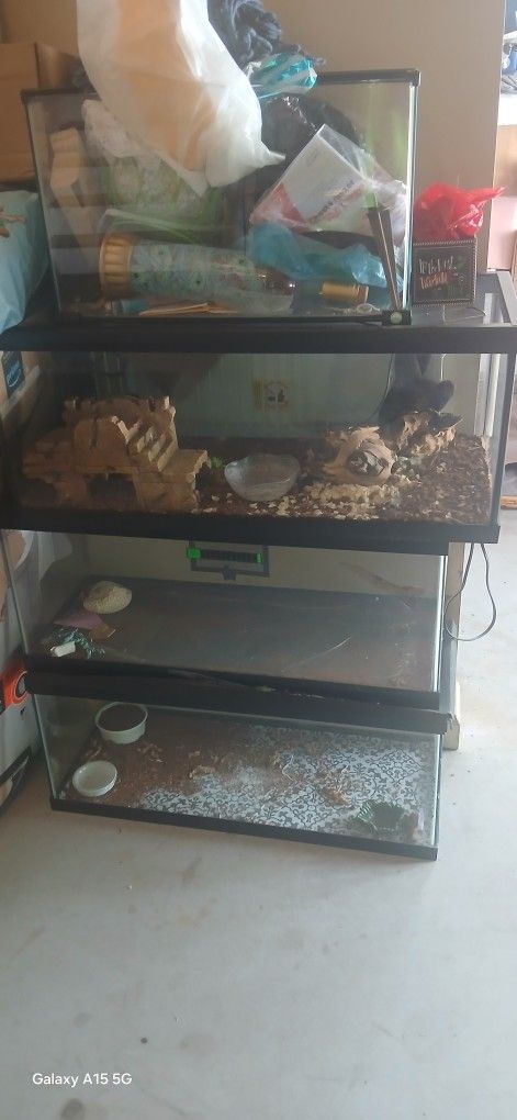 Fish Tanks