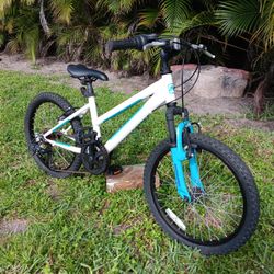 Nishiki Pueblo 20 Inch Boys Mountain Bike 68