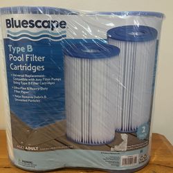 Bluescape Type B Pool Filter 2 Pack Cartridges 