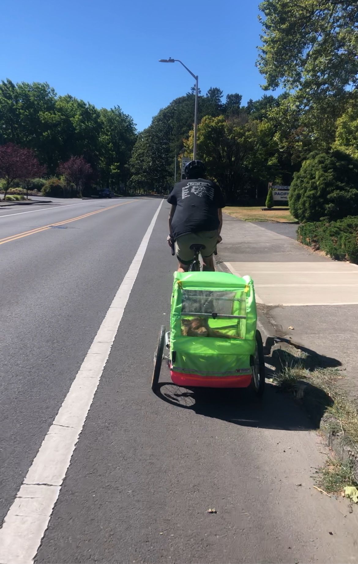 Kids Bike Trailer 