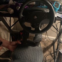 Steering Wheel With Gas Pedals