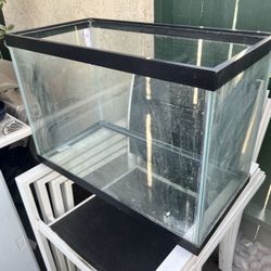 20 Gallon Aquarium - Glass Tank