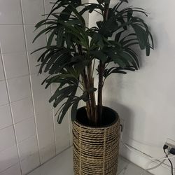 Fake Plant 