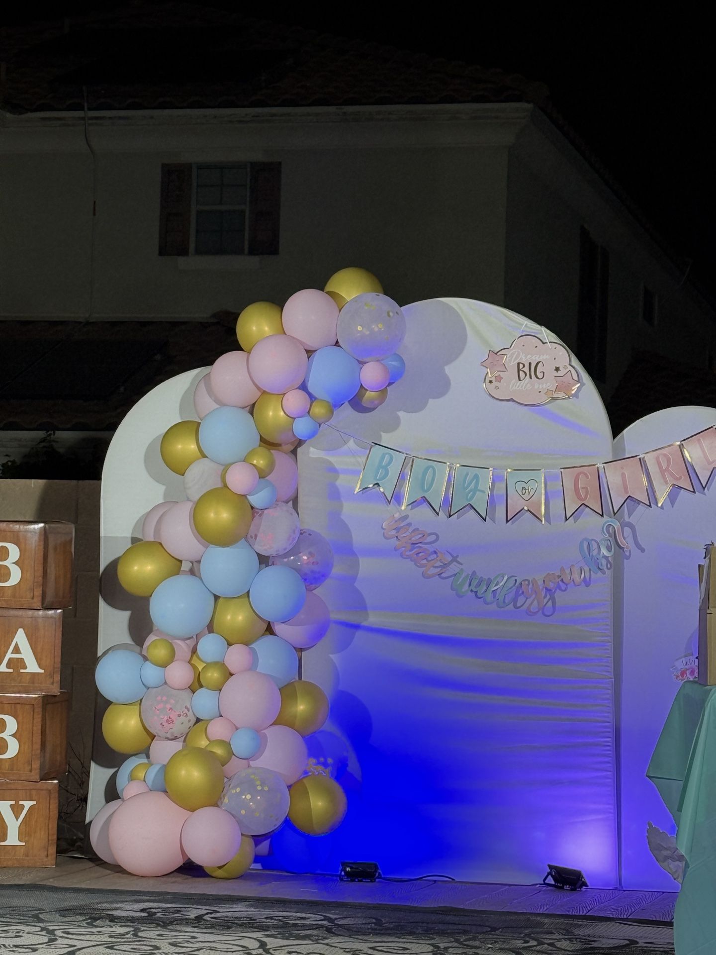 Gender Reveal Ballon Arch