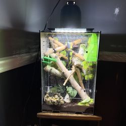 Reptile PVC Enclosure/tank/terrarium 