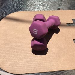 2 Neoprene Coated 5 LB Dumbbell Weights For Sale