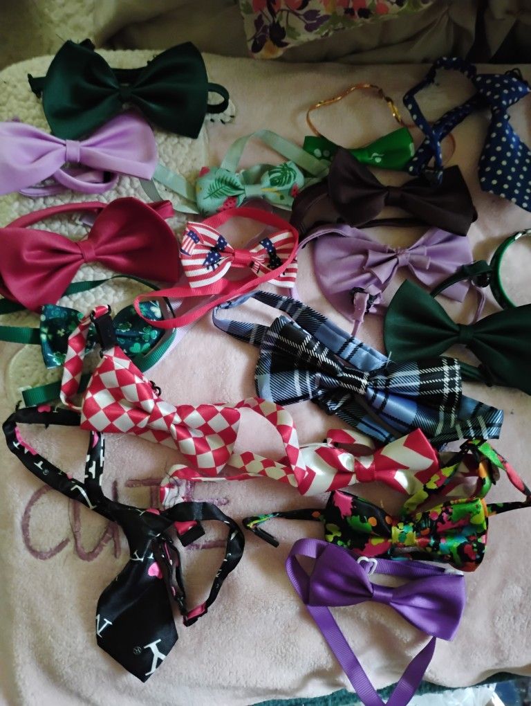 15 Doggie Bowties And 2 Ties